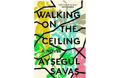 Book Cover of Walking on The Ceiling